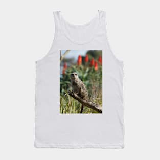 Meerkat Branch Office Tank Top